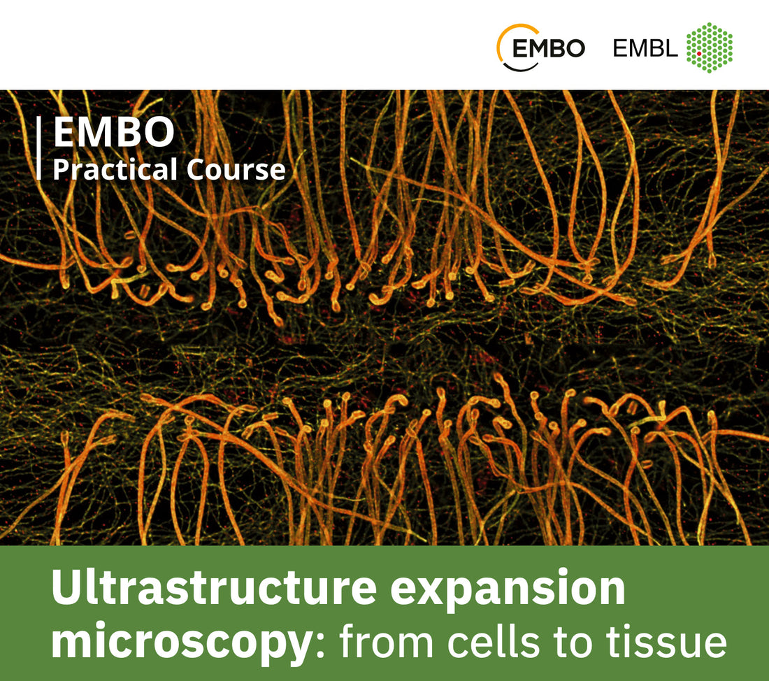 Sponsoring EMBO Practical Course "Ultrastructure expansion microscopy"