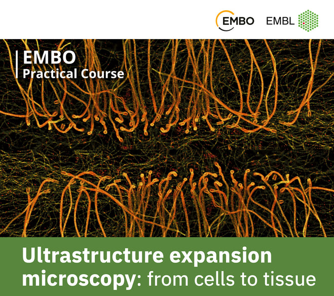 Sponsoring EMBO Practical Course 